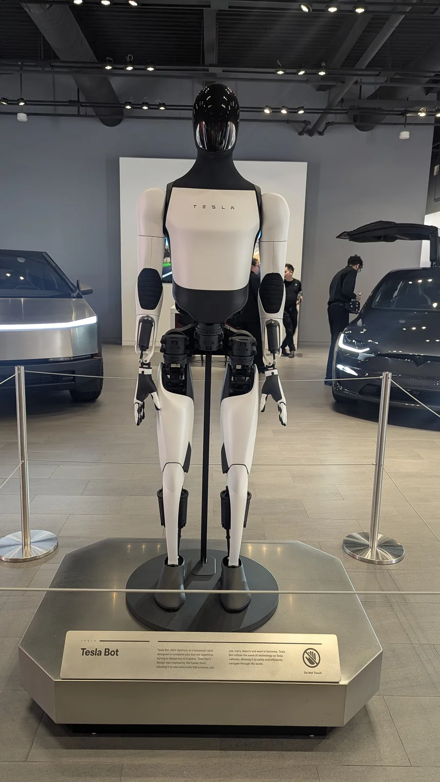 Musk Says China's Magnet Limits Left Tesla With Optimus Robots That Had No Arms
